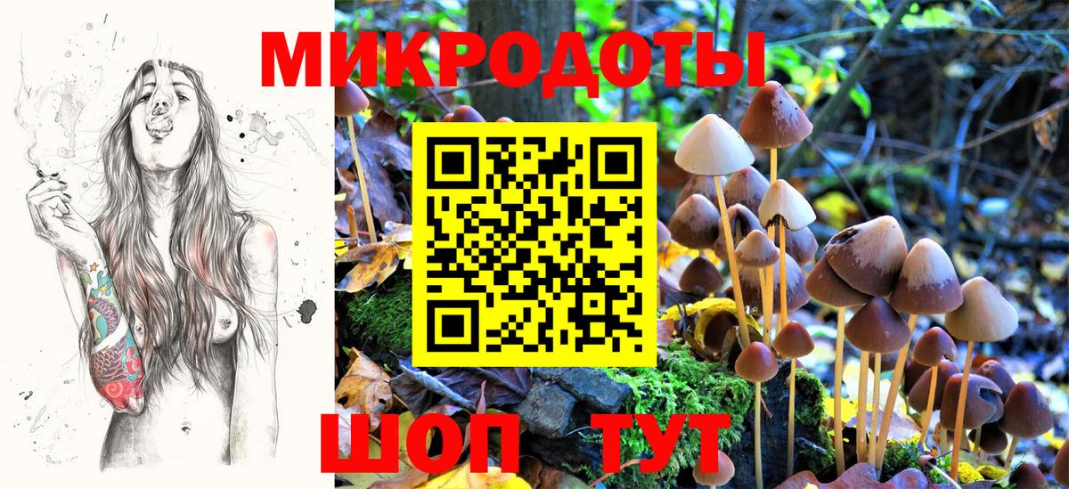Псилоцибиновые грибы мухоморы Ставрополь